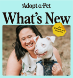 What’s New at AdoptaPet in December 2023
