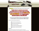 Crickets Breeding Made Simple – Easiest Way to Breed Feeder Crickets