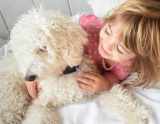 Dogs Can Help Children Accept the Challenges of Foster Care