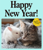 What’s New at AdoptaPet in January 2024
